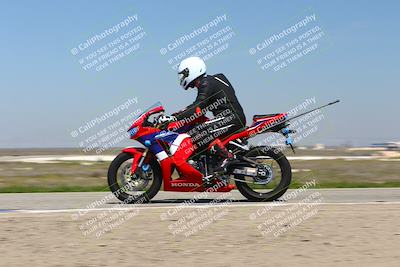 media/Mar-24-2025-2WTD (Mon) [[55b4b08488]]/C Group/1240pm (Wheelie Bump)/